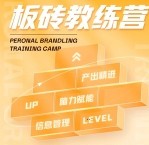 彭小六 板砖训练营：用一年时间成为专业的人【网盘资源】