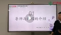 红杏林韦氏振荡中医生物钟疗法初级5班【网盘资源】