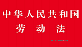 中华人民共和国劳动法2015实用版 pdf版