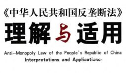 中华人民共和国反垄断法理解与适用 pdf版