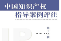 中国知识产权指导案例评注第11辑 pdf版