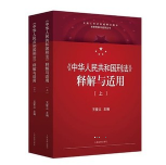 中华人民共和国刑法释解与适用 2021 pdf版