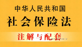 中华人民共和国社会保险法注解与配套 pdf版