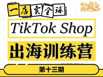 李社长《TikTok Shop出海训练营13期》