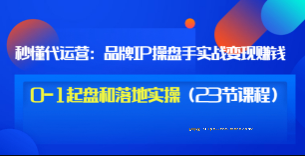 秒懂代运营：品牌IP操盘手实战变现0-1起盘和落地