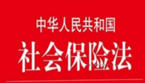 中华人民共和国社会保险法注释本 pdf版下载