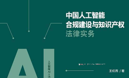 中国人工智能合规建设与知识产权法律实务 202301 王红燕 pdf版下载