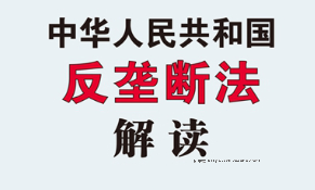 中华人民共和国反垄断法解读 202208 王翔 pdf版下载