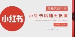 安琪-小红书店铺无货源实战【网盘资源】