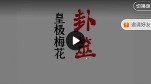 陈春林 卦筮｜皇极梅花精品课程30集【网盘资源】