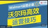Walmart运营必备：沃尔玛高效运营技巧【网盘资源】