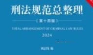 刑法规范总整理（第14版）202405 刘志伟 pdf电子版下载
